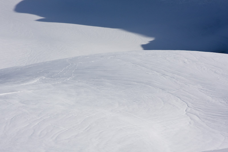 Shadows On The Nisqually Glacier